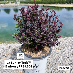 May 2026 2g Sunjoy Todo Barberry Website